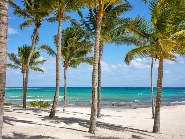 Beautiful beach with coconut palm trees on a sunny day, the perfect summer vacation concept.
