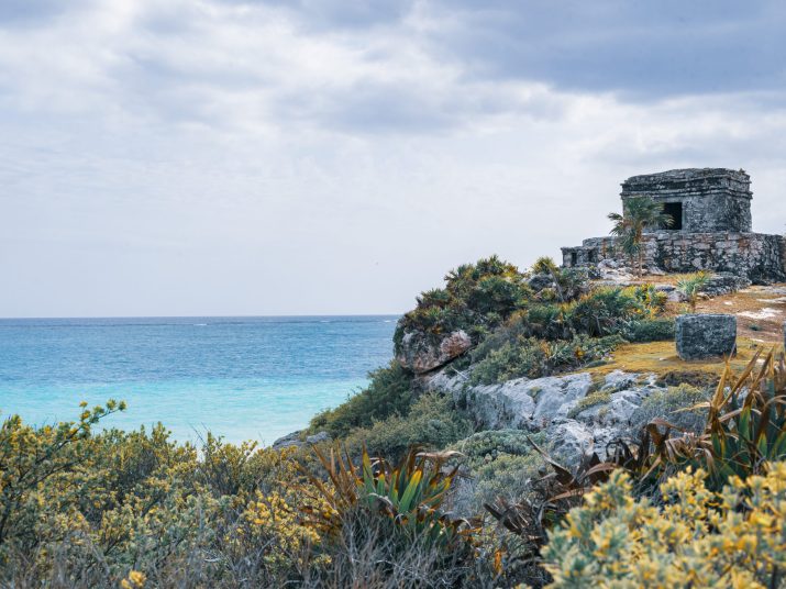 Scenic ocean view with rocks and shrubs on a hill by the sea